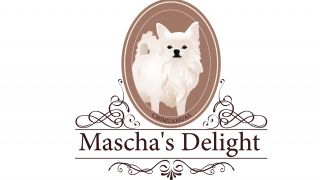 Impression Mascha's Delight Chihuahuas