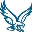 Logo Blue Eagle Transport